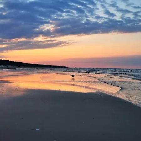 Ostseebrise Usedom Im Gruenen Familienfreundlich Ruhig Parkplatz Terrasse Kamin Prázdninový dům Karlshagen