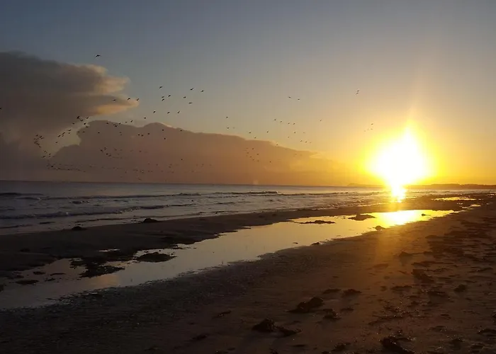 Ostseebrise Usedom Im Gruenen Familienfreundlich Ruhig Parkplatz Terrasse Kamin Casa de Férias Karlshagen