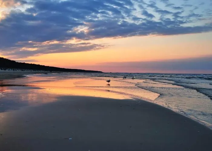 Ostseebrise Usedom Im Gruenen Familienfreundlich Ruhig Parkplatz Terrasse Kamin Prázdninový dům Karlshagen